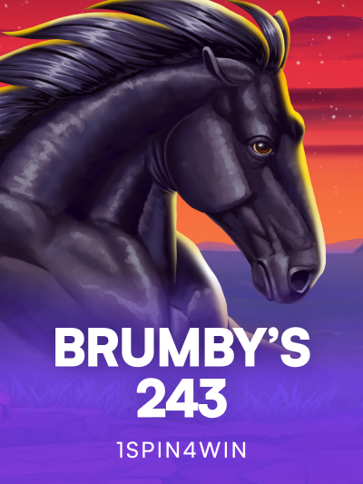 Game image for Brumby's 243